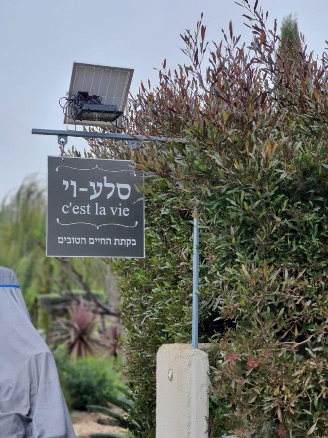סלע-וי דירה יונתן